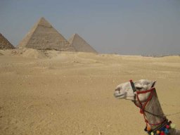 Massawa-Suez-Cyril 319